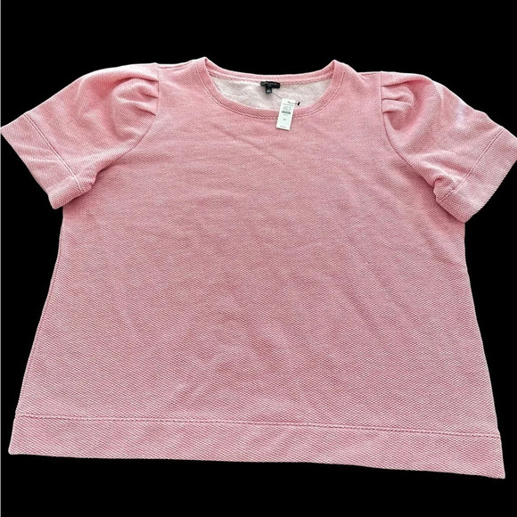 NWT Talbots Plus Size 3X Pink Short Puff Sleeve Sweatshirt Top Fleece New - Picture 1 of 7